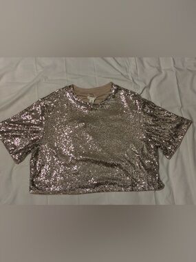 H&M Silver Sequin Crop Top XL